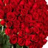 user5007661945318