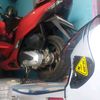 wong.mumet334