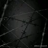 lucas_2orte