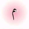 user700826428