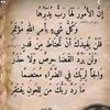 jemile895