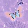 user562207431