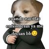 el_insano543
