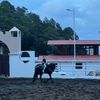 miguel.zapata653