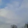 rawencukir