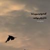 only_ibr08