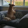 wiggle624