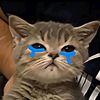 frandaee_1404