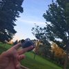 2highforthisshi