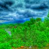 awaisahmad6424