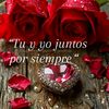 luchito.campos0