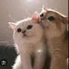 moonpouchiee