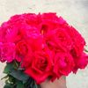wahidul.islam88