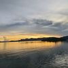 tanpanamasamaran0