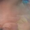 hobi_cupang19