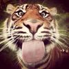 sally.ahmed216