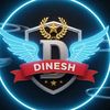 dinesholi607
