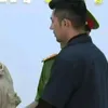 _cimphngne_
