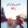user8666773044941