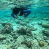 seaskyroad