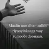 ridwaan4613