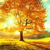 user9021019781547