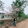 nng.qunh2