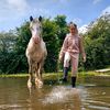 .zip.the.cutie.foal