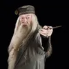 albusdumbledore__