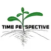 time perspective yanbin