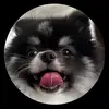 bankthy10