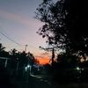 ipang_rau_