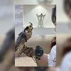﮼الغيثيه♥️🪽.