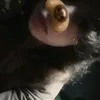 my_little_pusi_23_24