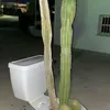 _erik_138