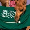 ashwaq6728
