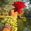 nusrat.queen351
