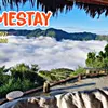 aduahomestay