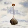 z5._.z1