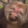mekrwooo