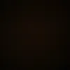 username85309