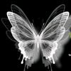 alecia0809728