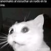 fresita1822944