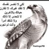 user3458237729221