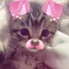 bae_b4e91