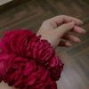 danyam_4