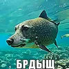 хех