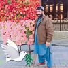 shamsullah.mirzai