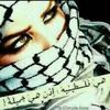 chahed.chahdouda84