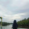 curious_760